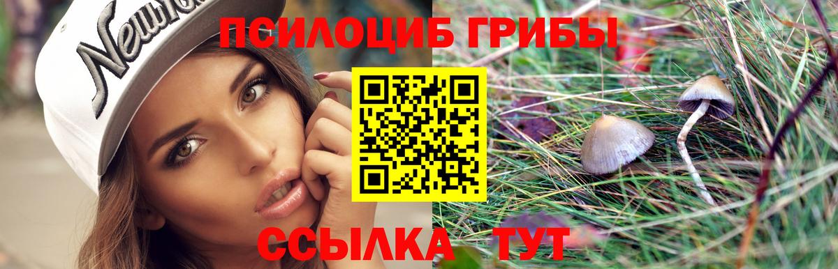Симферополь  Галлюциногенные грибы мухоморы  Вход с VPN  Галлюциногенные грибы прущие грибы 